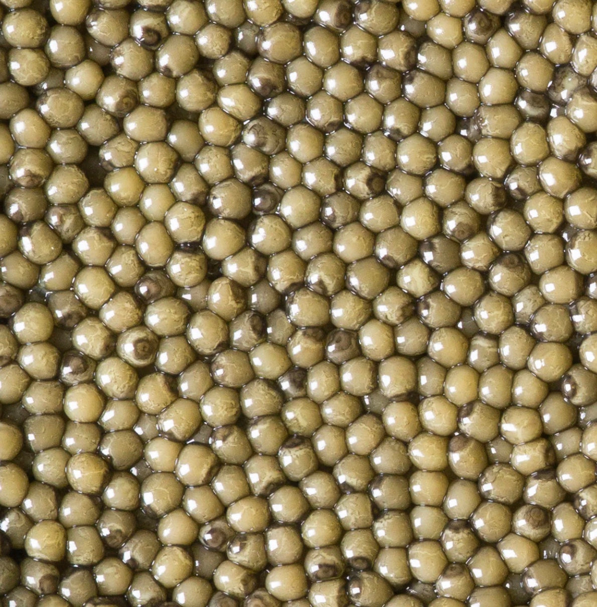 Golden Osetra
