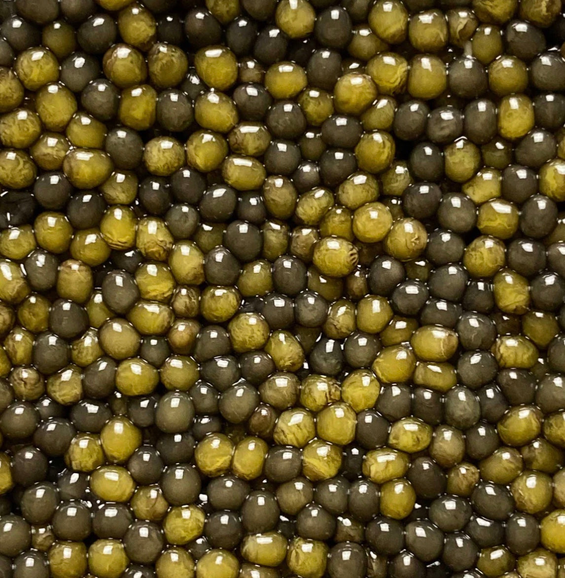 Two-Tone Osetra